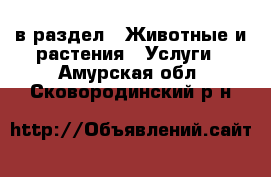  в раздел : Животные и растения » Услуги . Амурская обл.,Сковородинский р-н